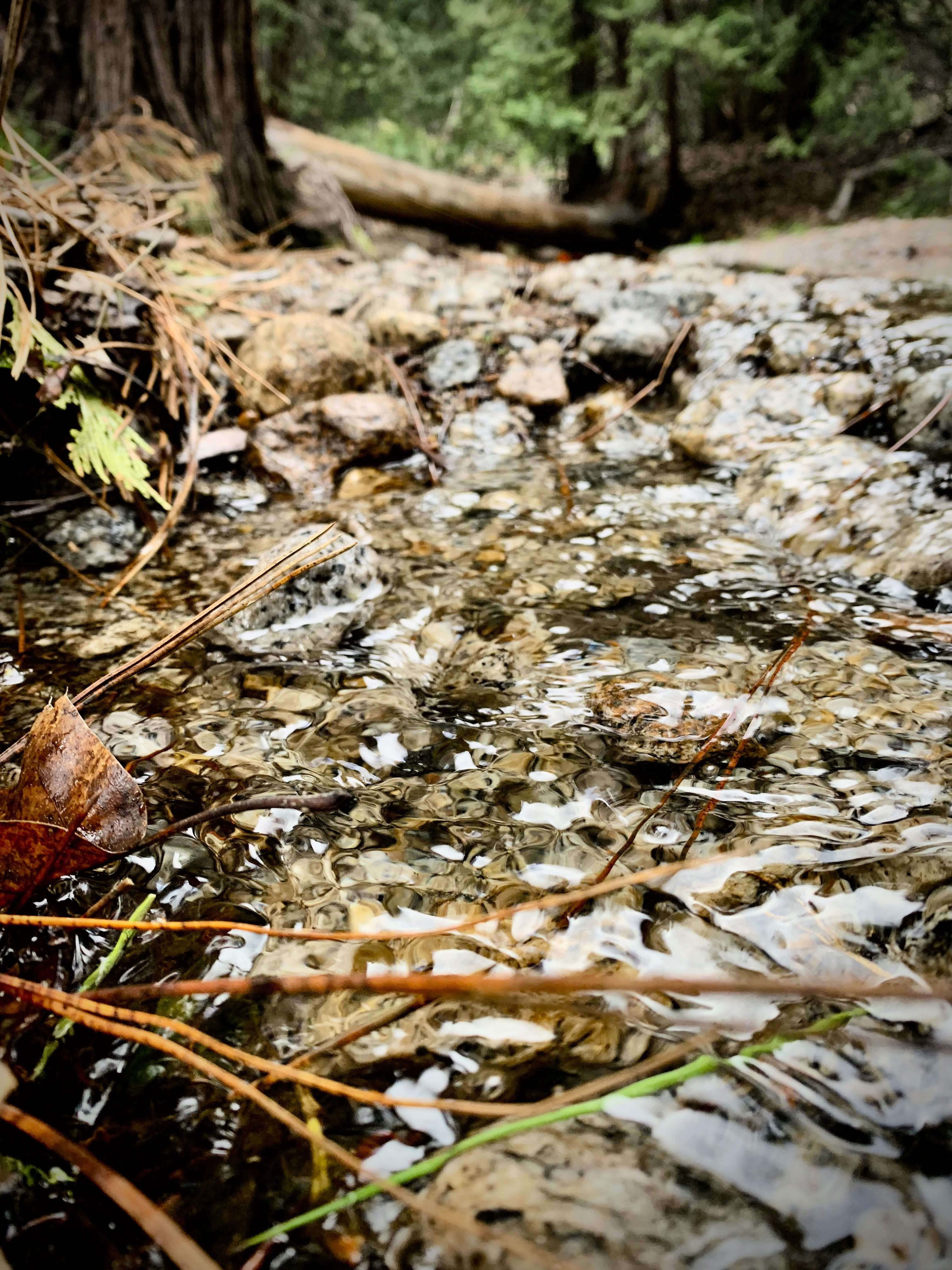 Picture of a tiny stream