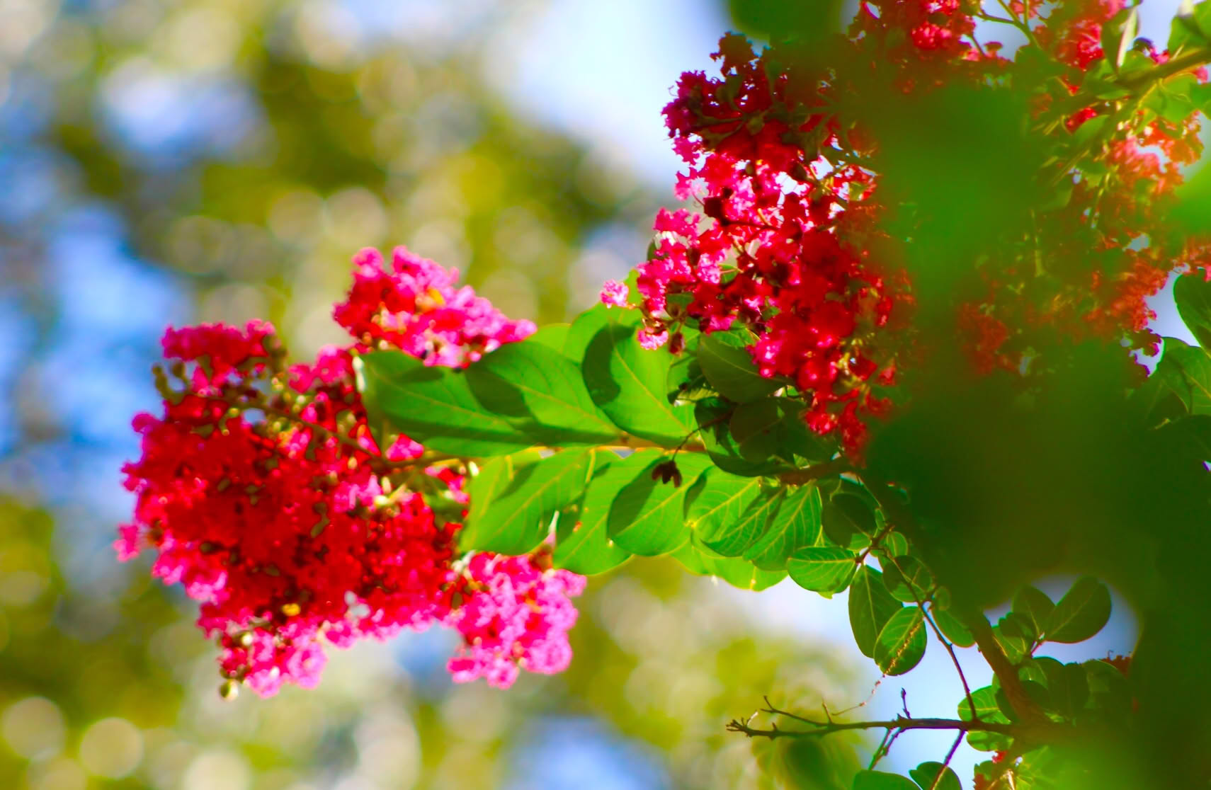 Picture of a tiny stream