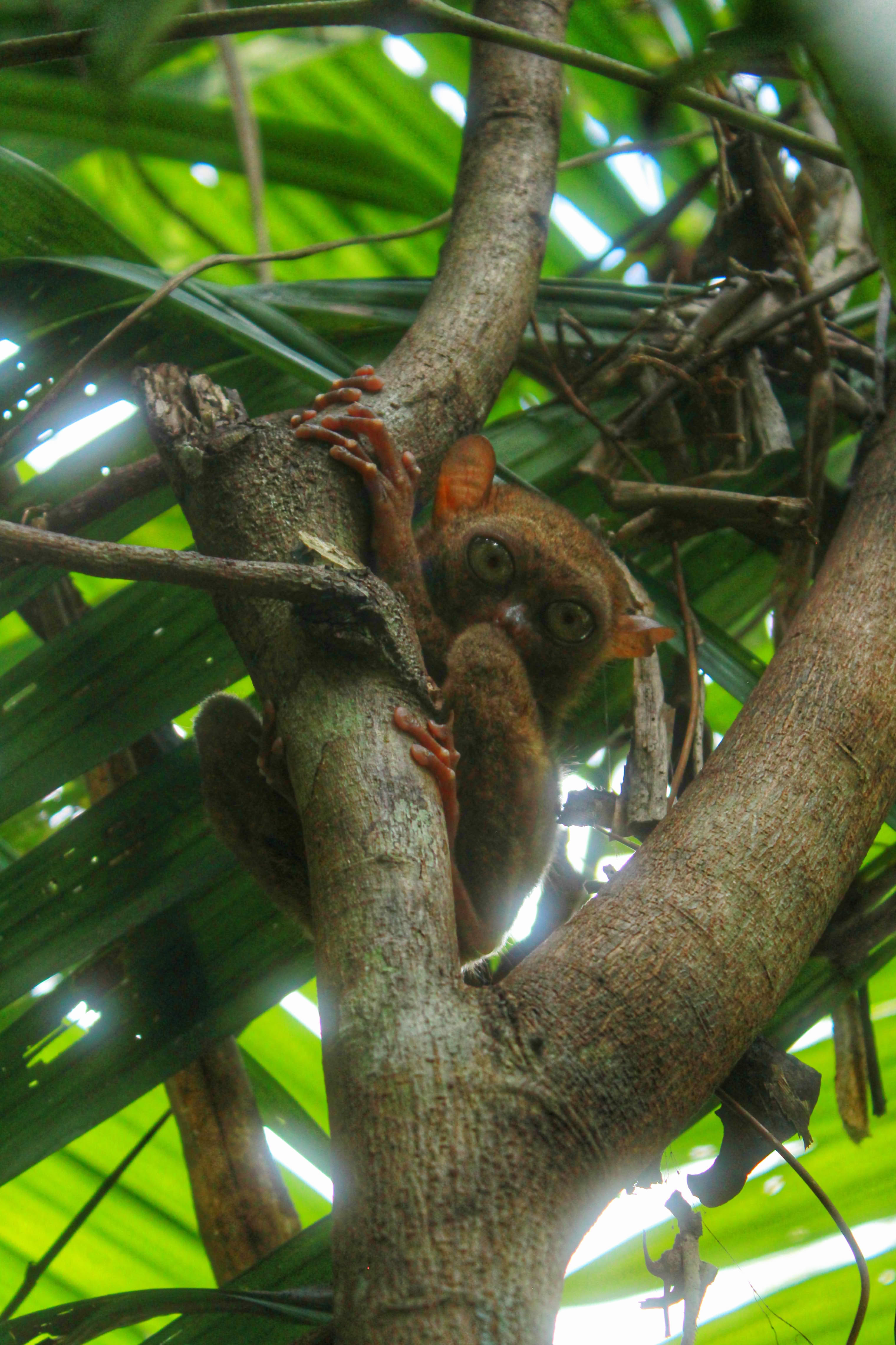 Picture of a tiny stream