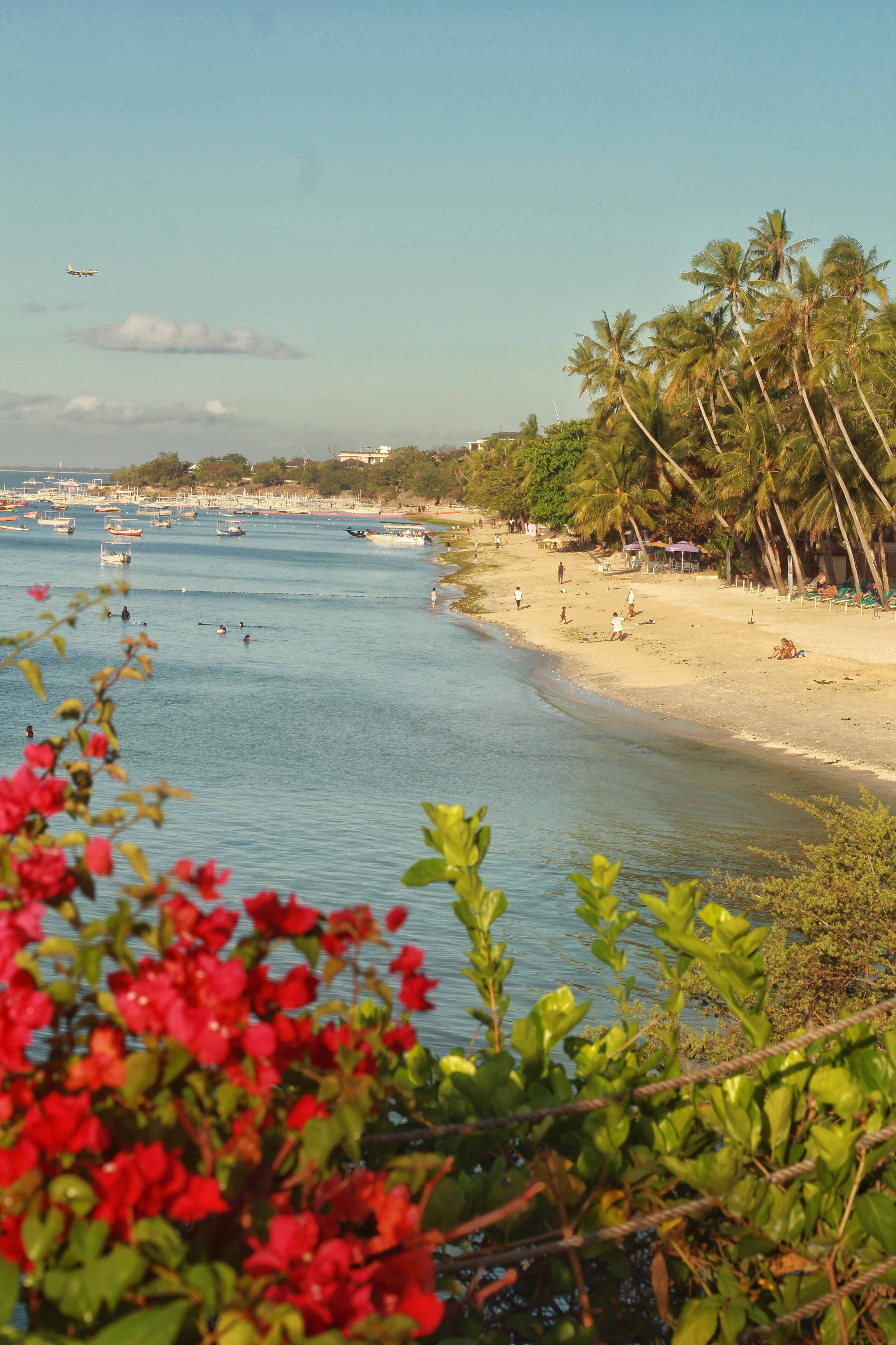 Picture of a tiny stream