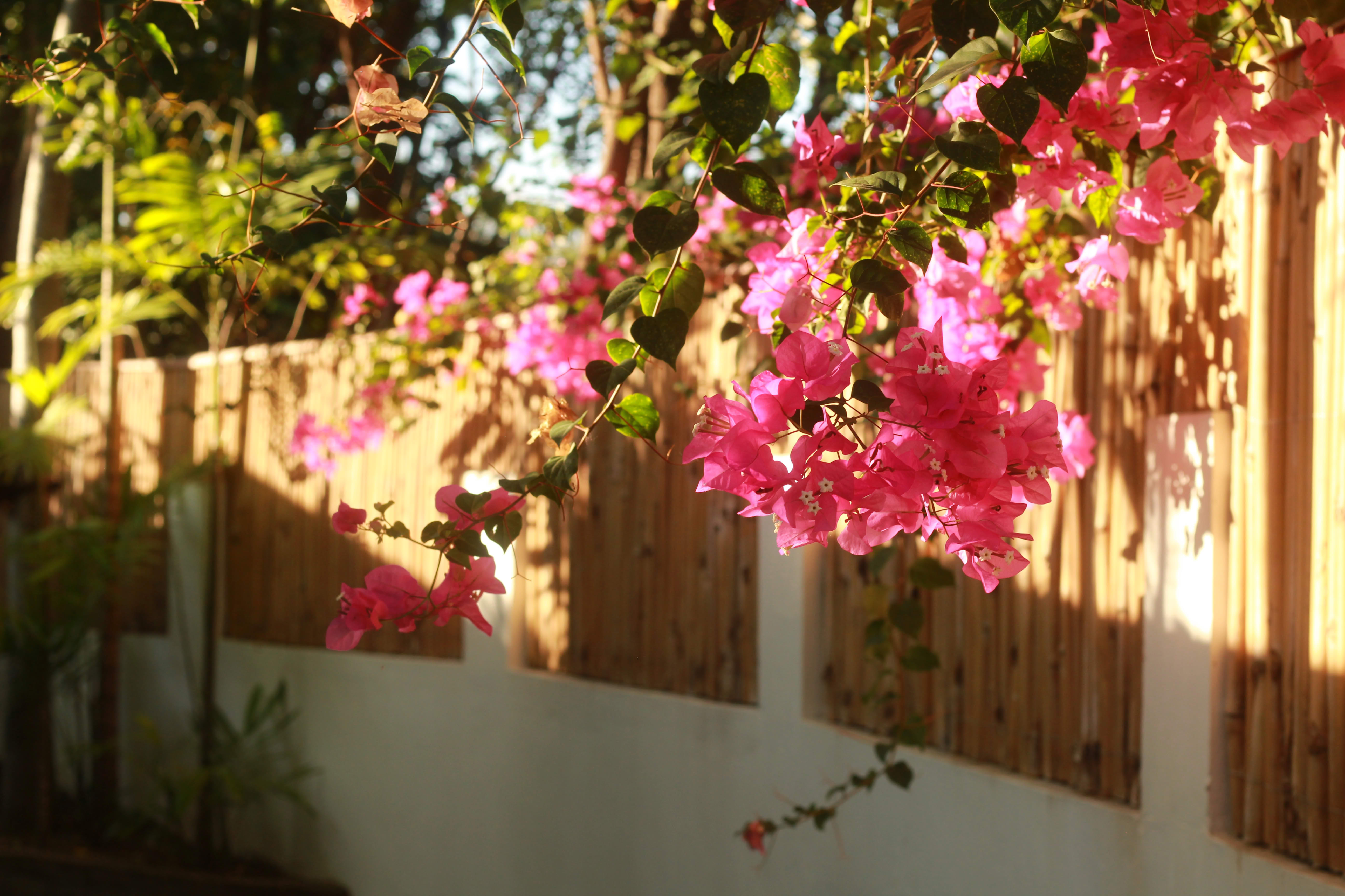 Picture of a tiny stream