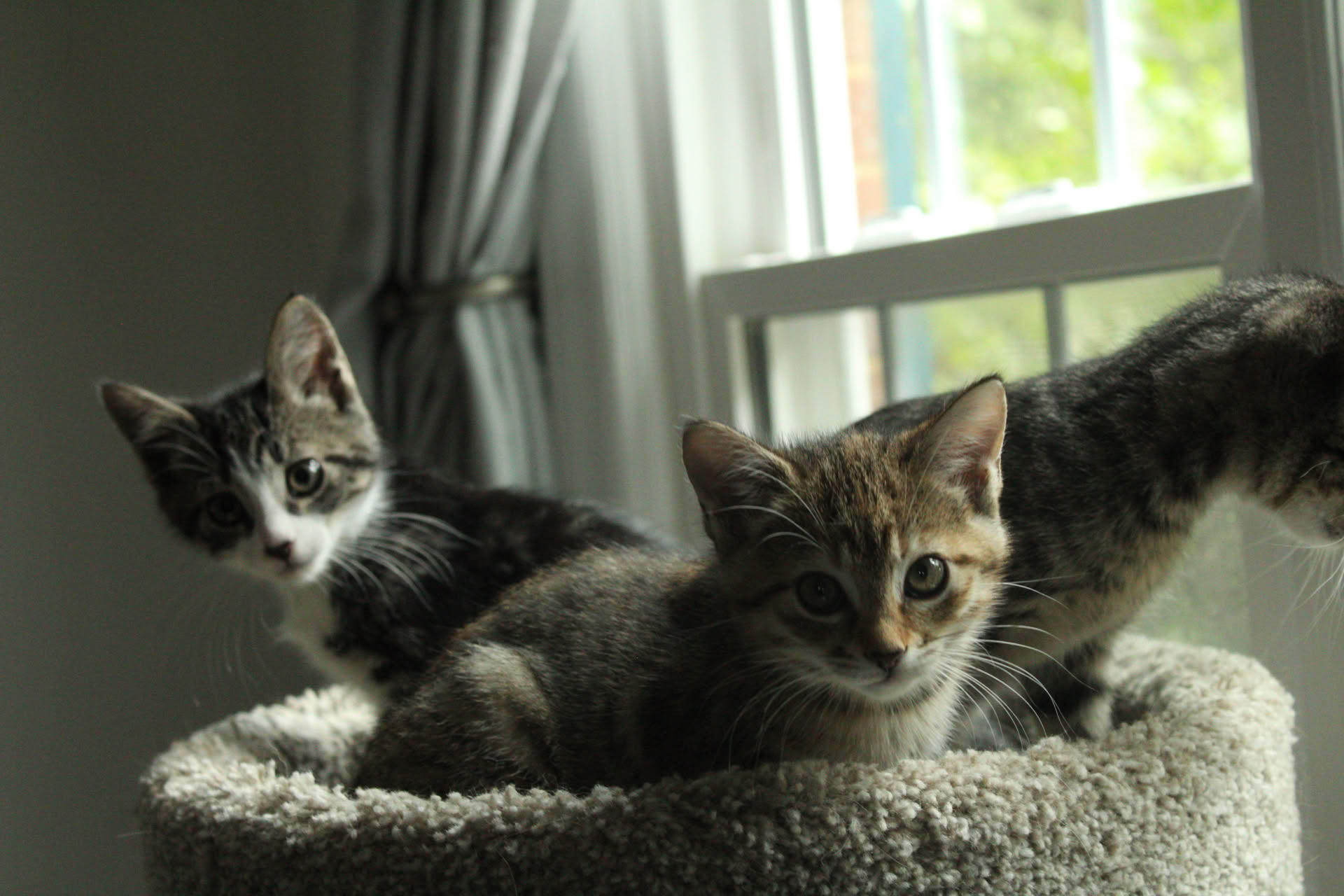 Picture of a tiny stream