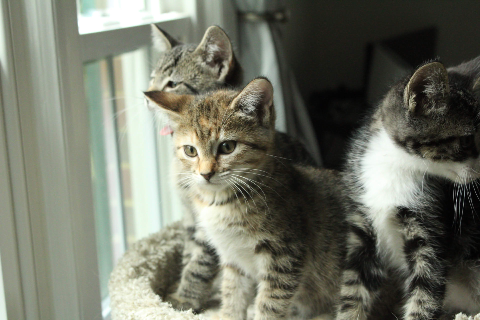 Picture of a tiny stream