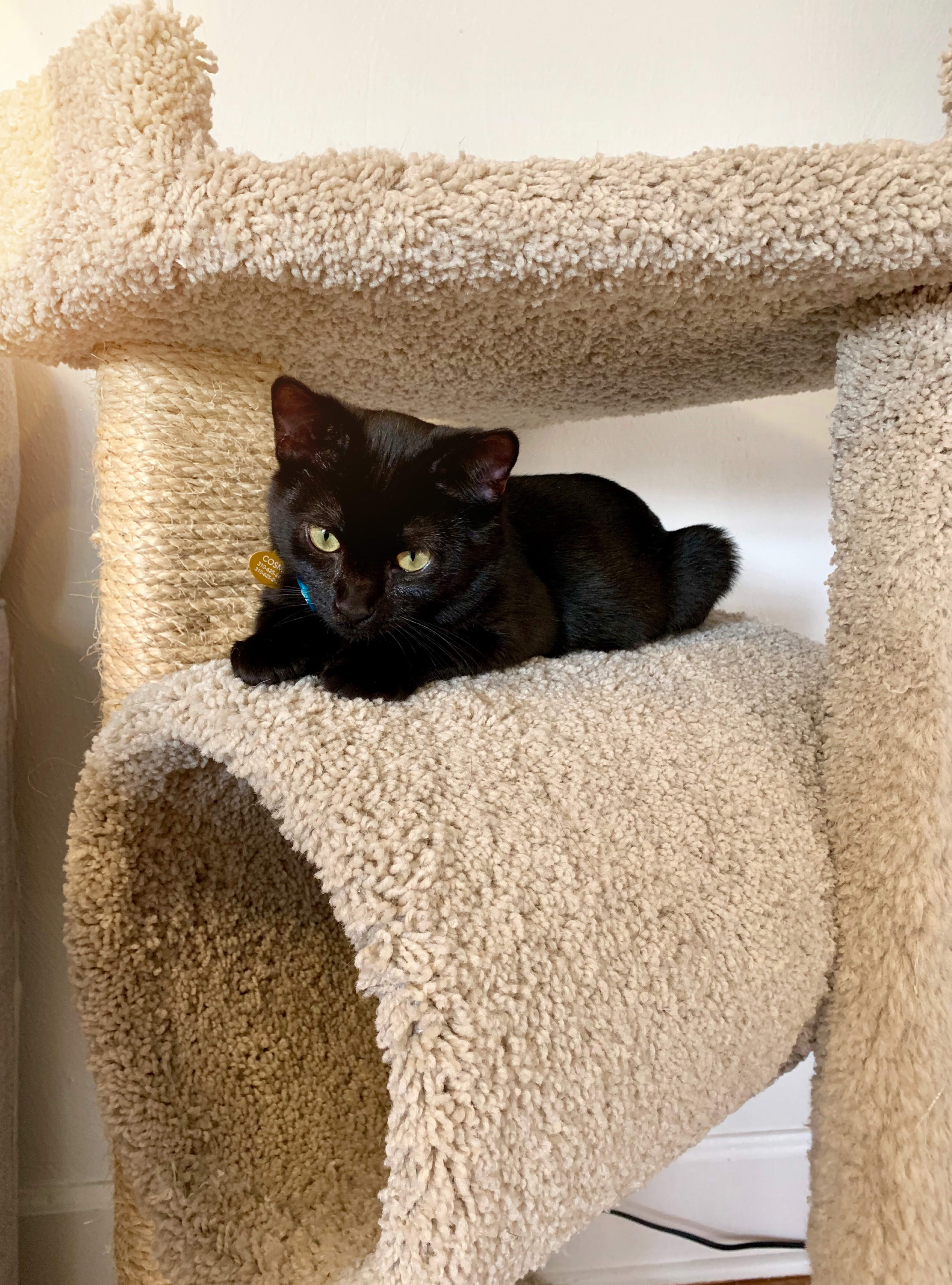 Picture of a tiny stream