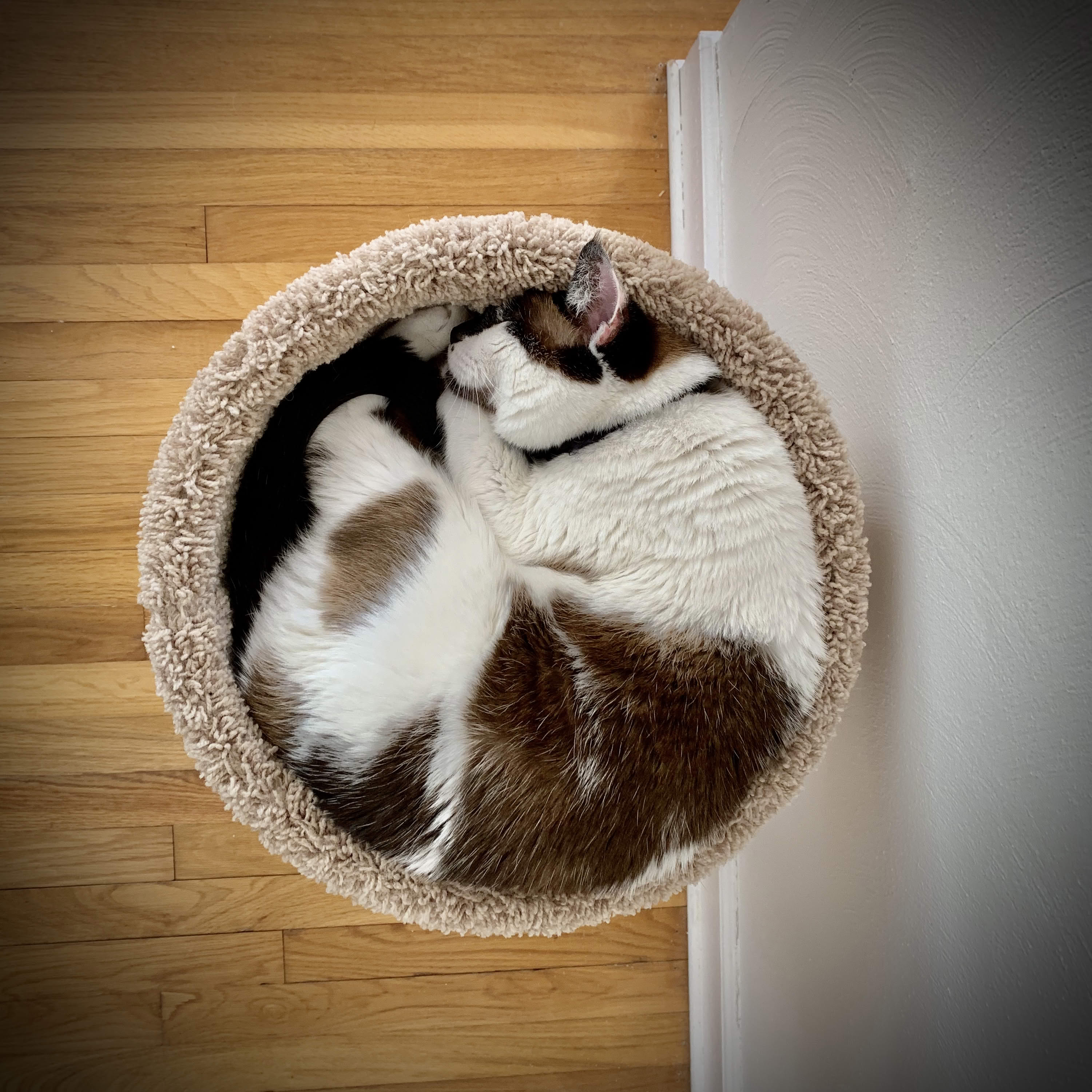 Picture of a tiny stream