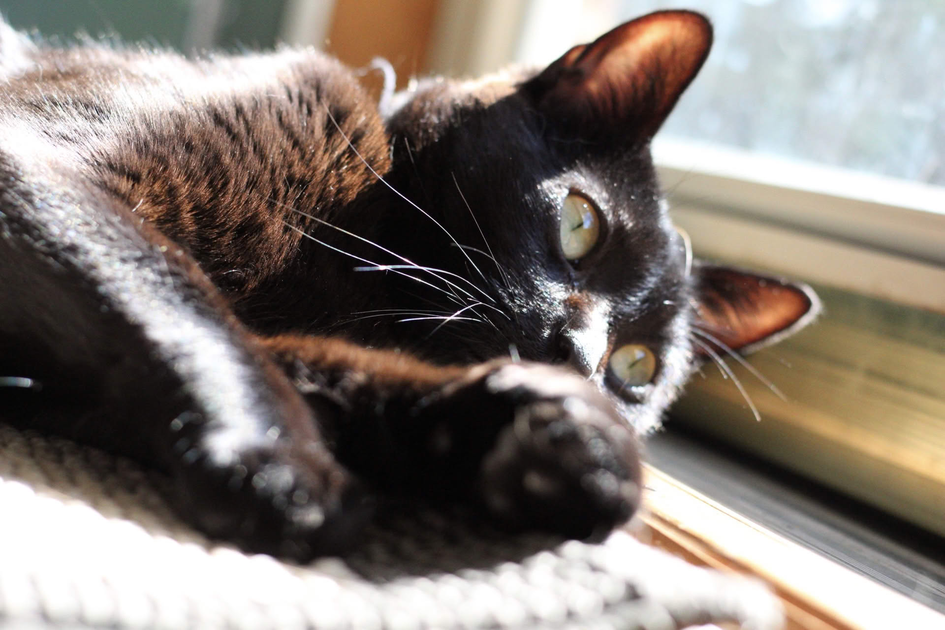 Picture of a tiny stream