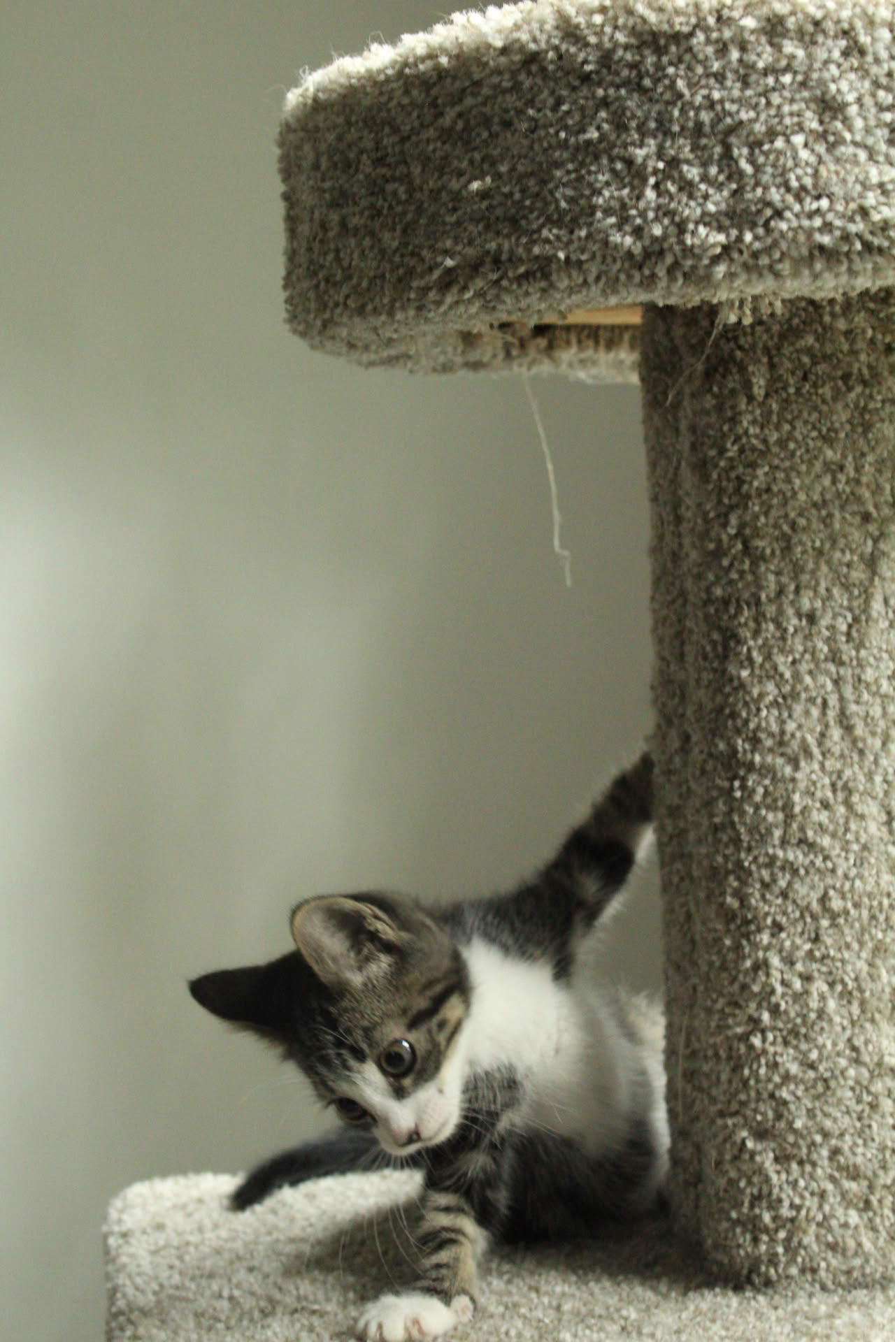 Picture of a tiny stream