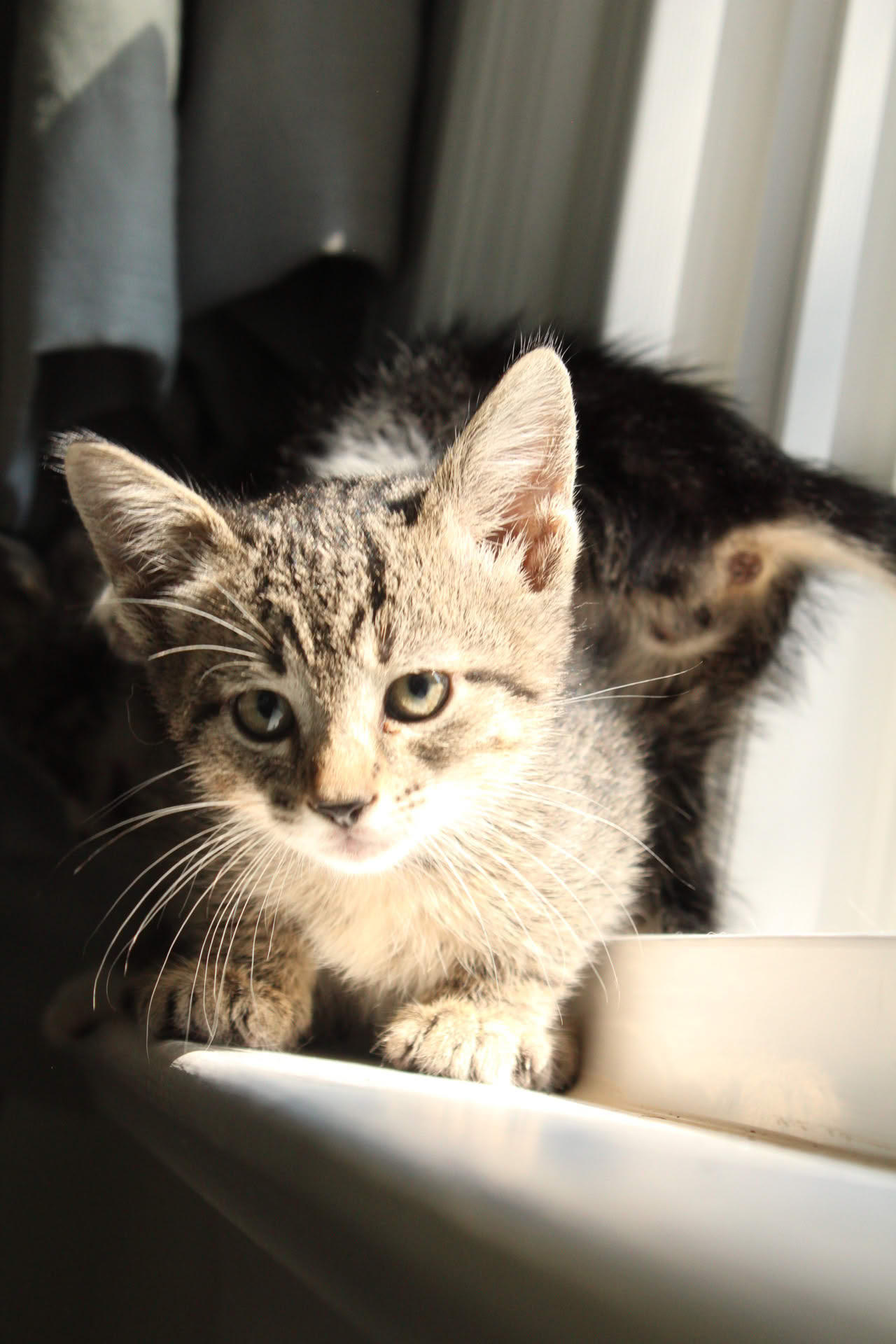 Picture of a tiny stream