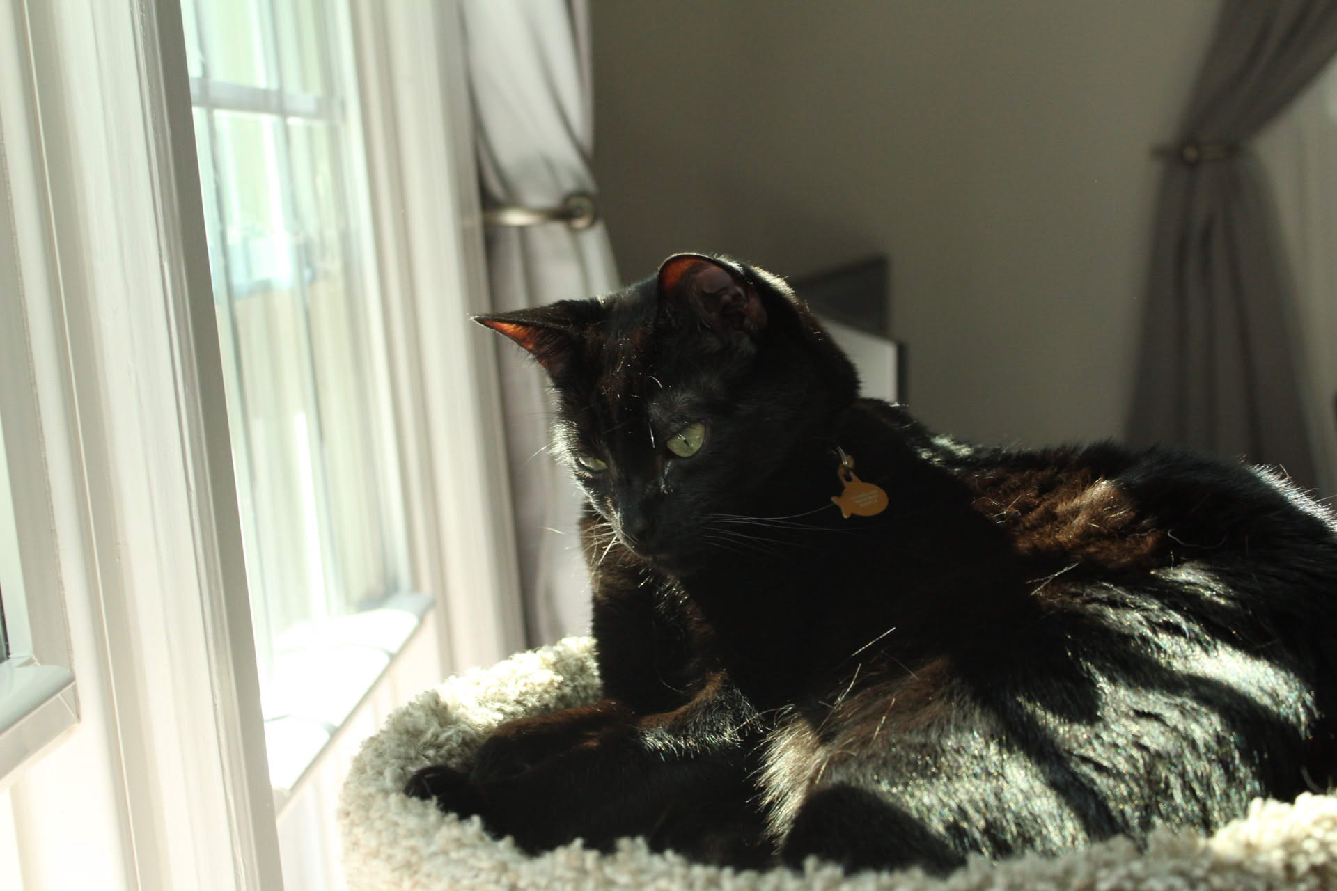 Picture of a tiny stream