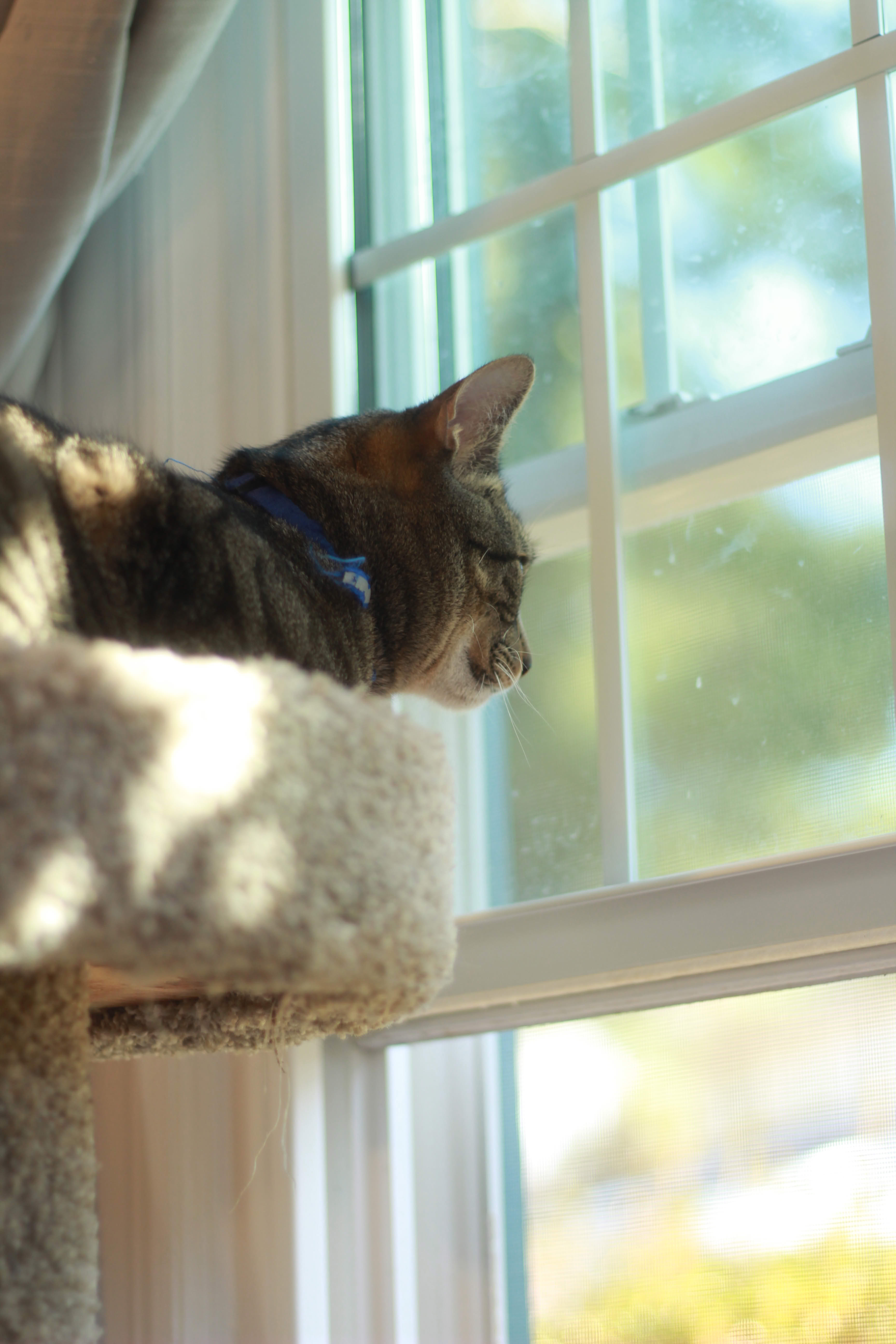 Picture of a tiny stream