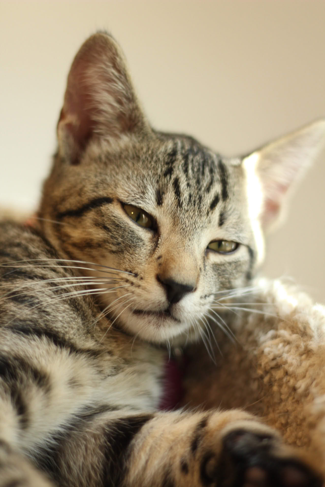 Picture of a tiny stream