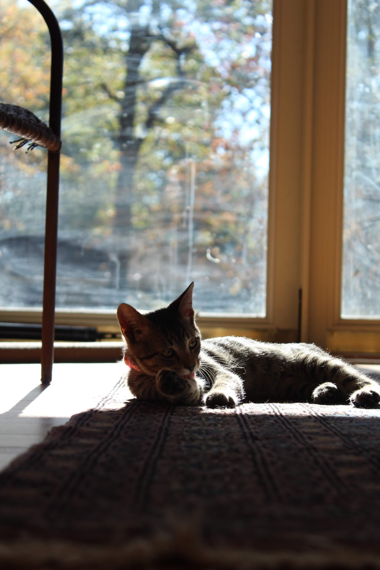 Picture of a tiny stream