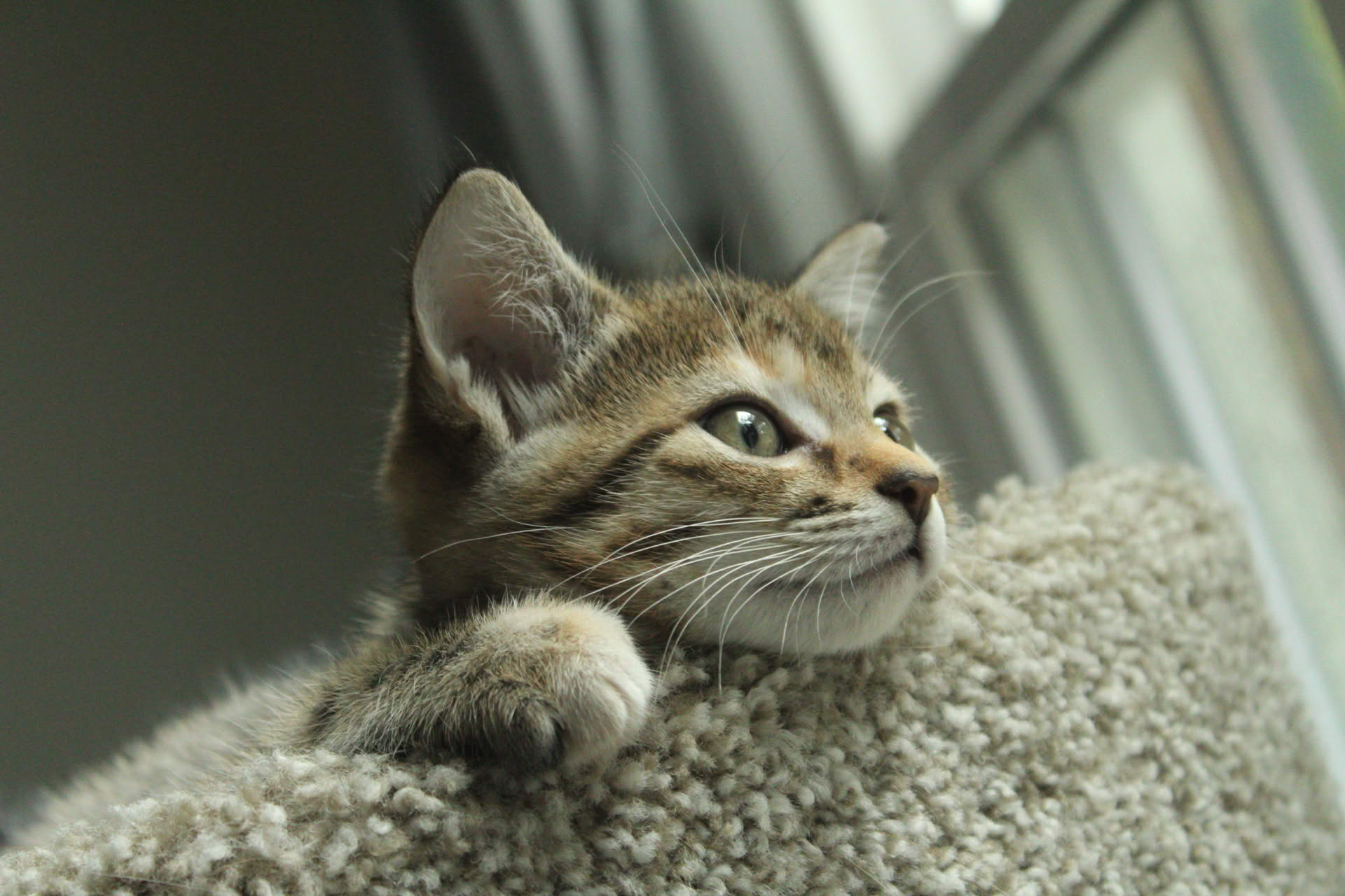 Picture of a tiny stream