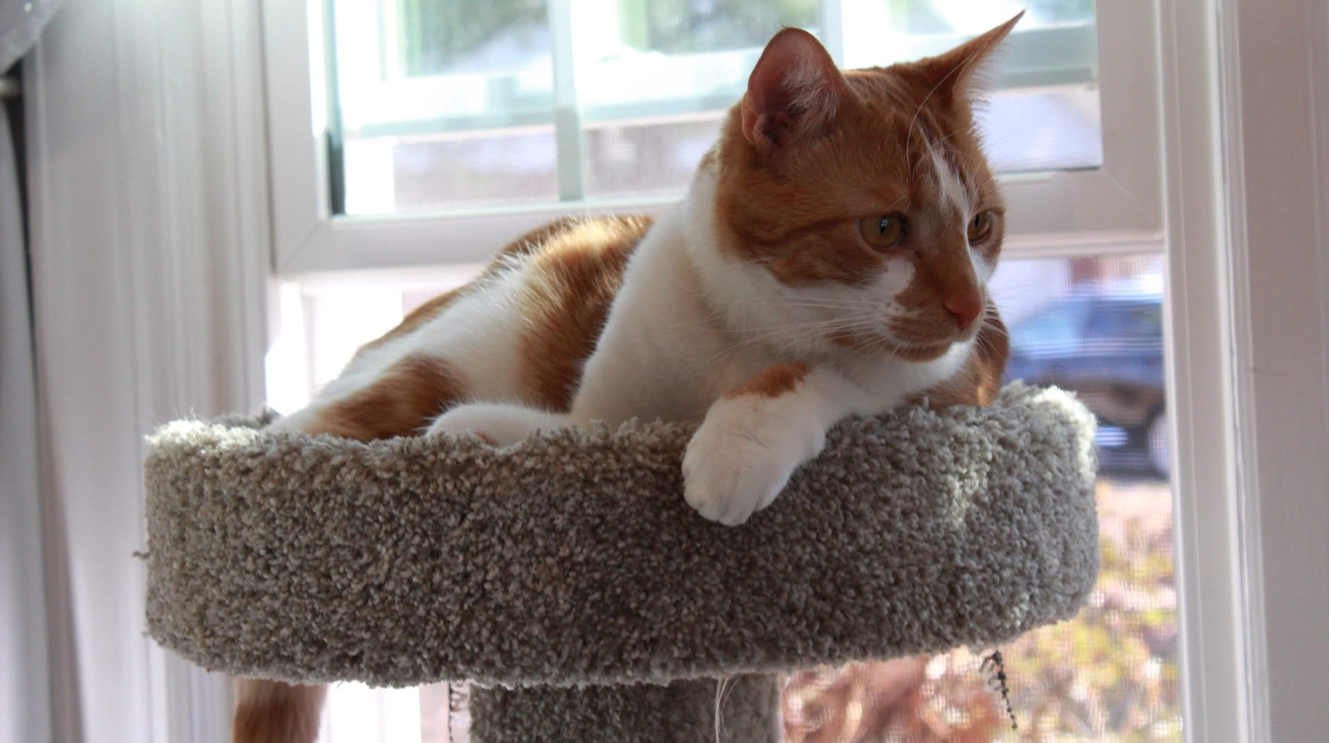 Picture of a tiny stream