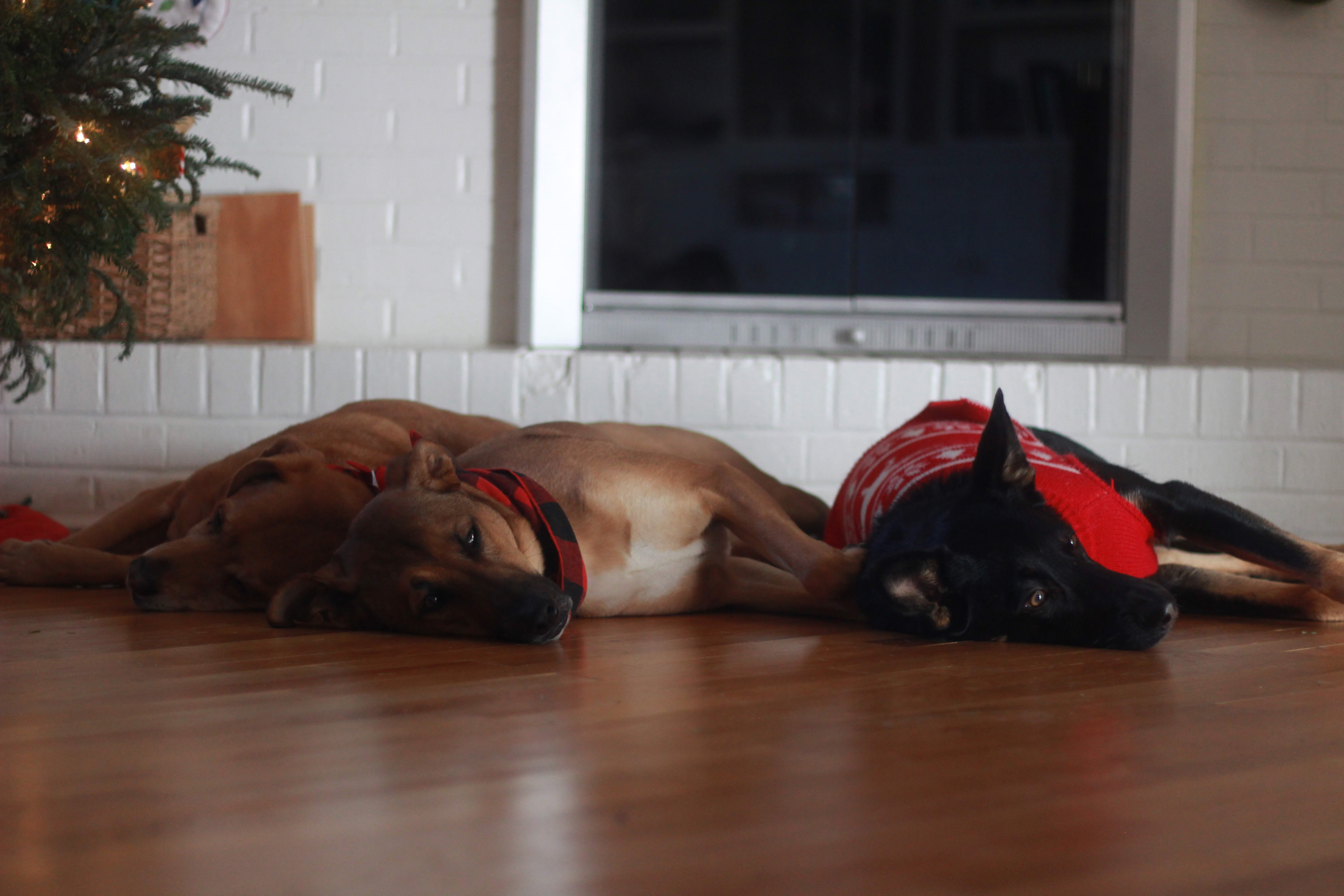 Picture of a tiny stream