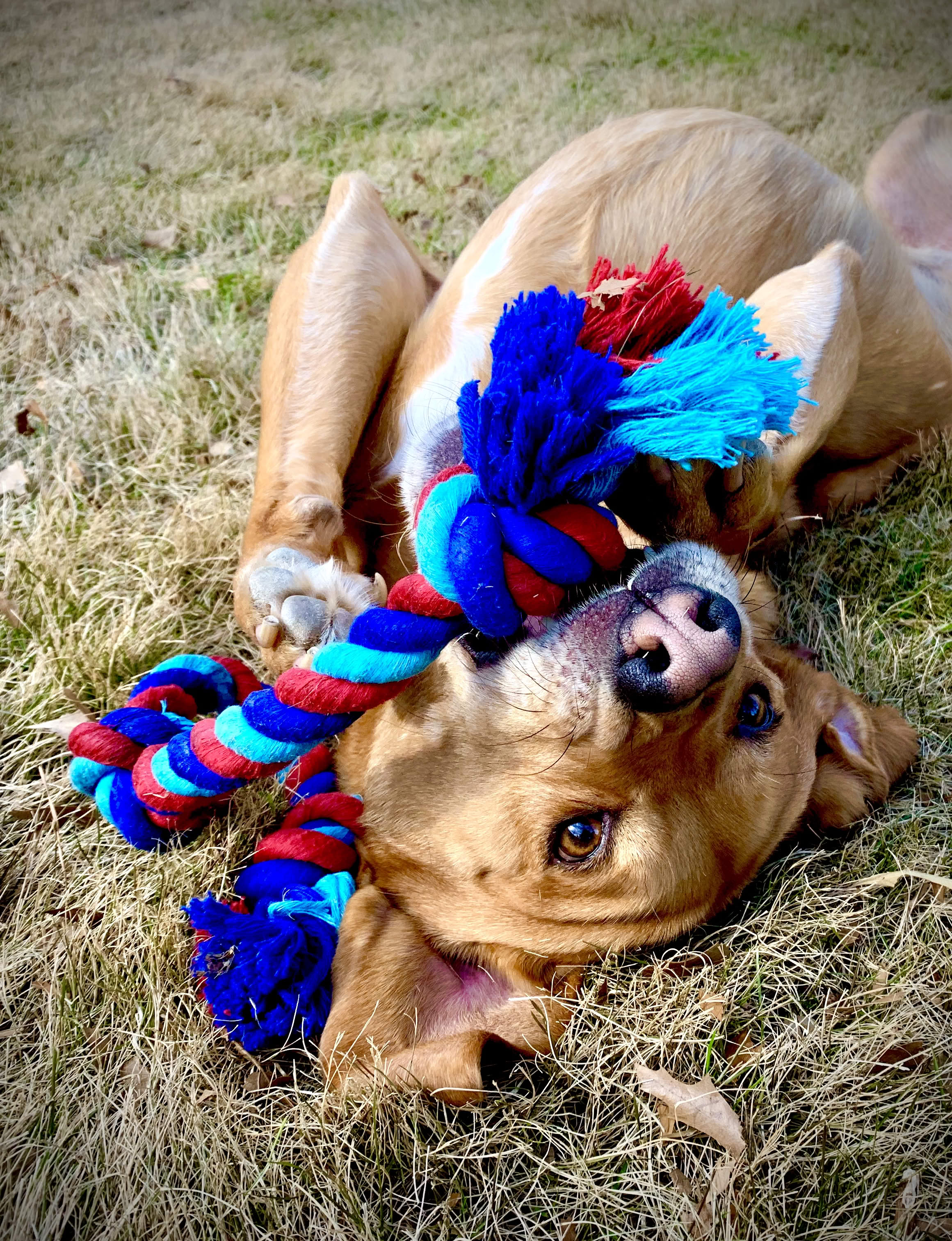 Picture of a tiny stream