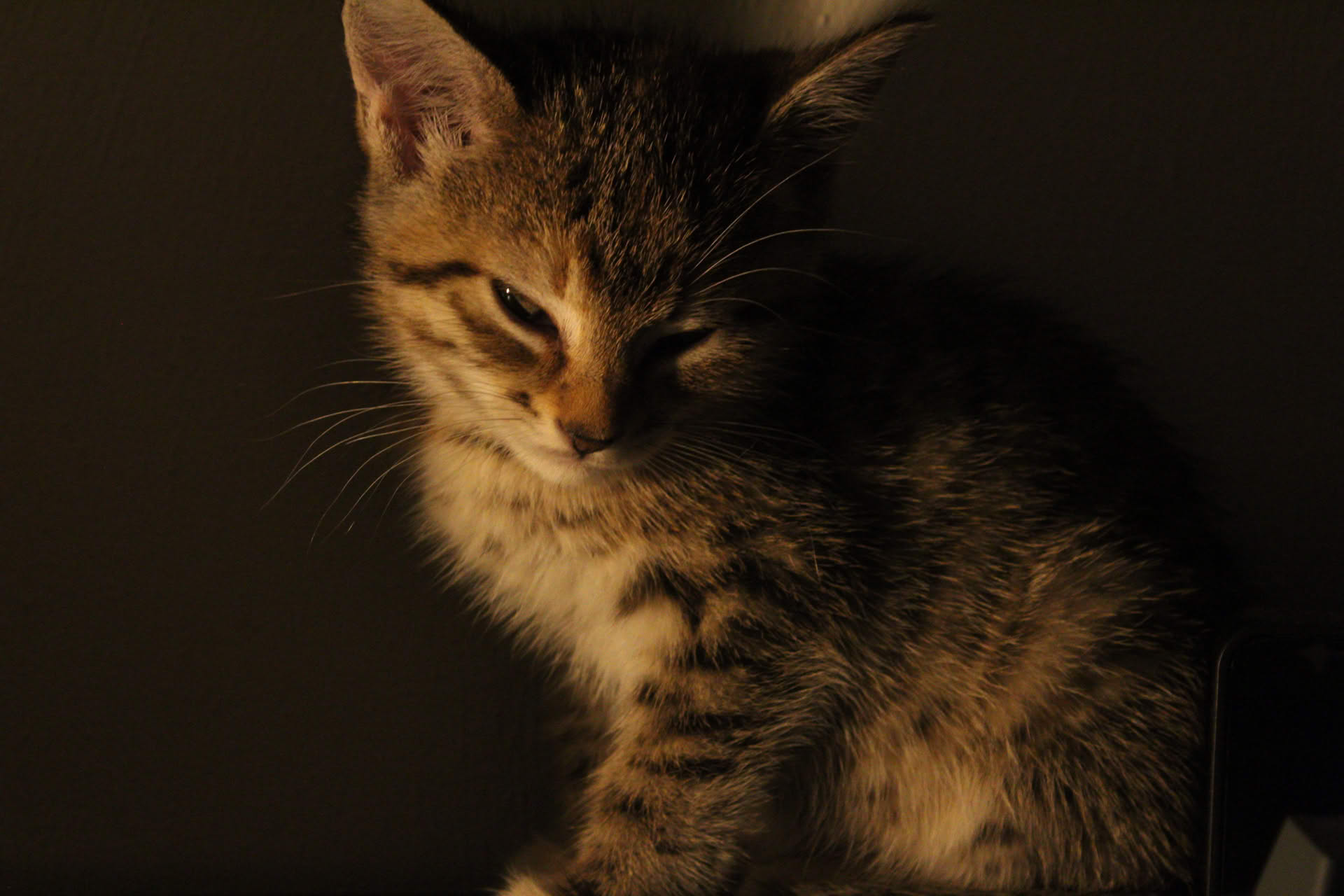 Picture of a tiny stream