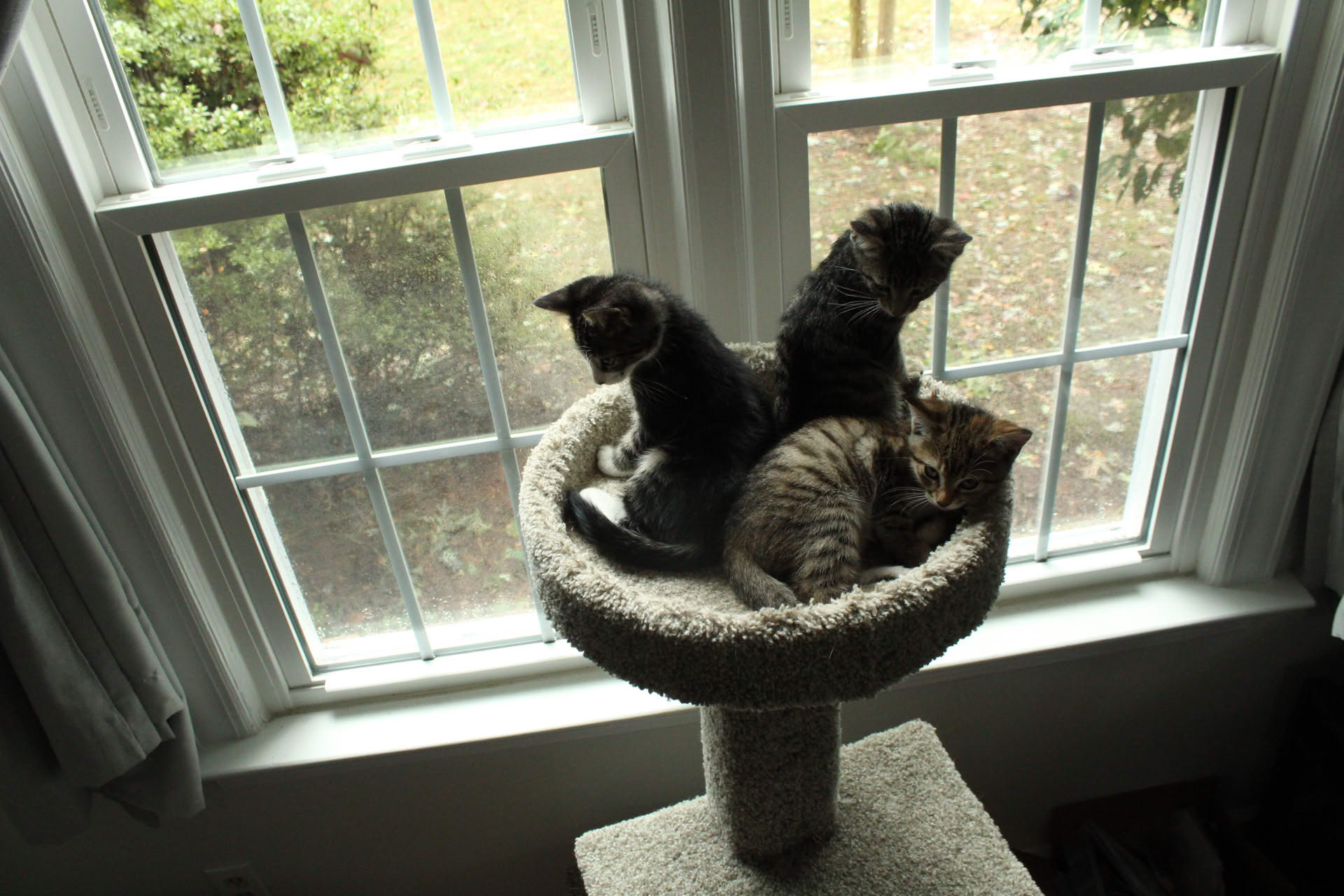 Picture of a tiny stream