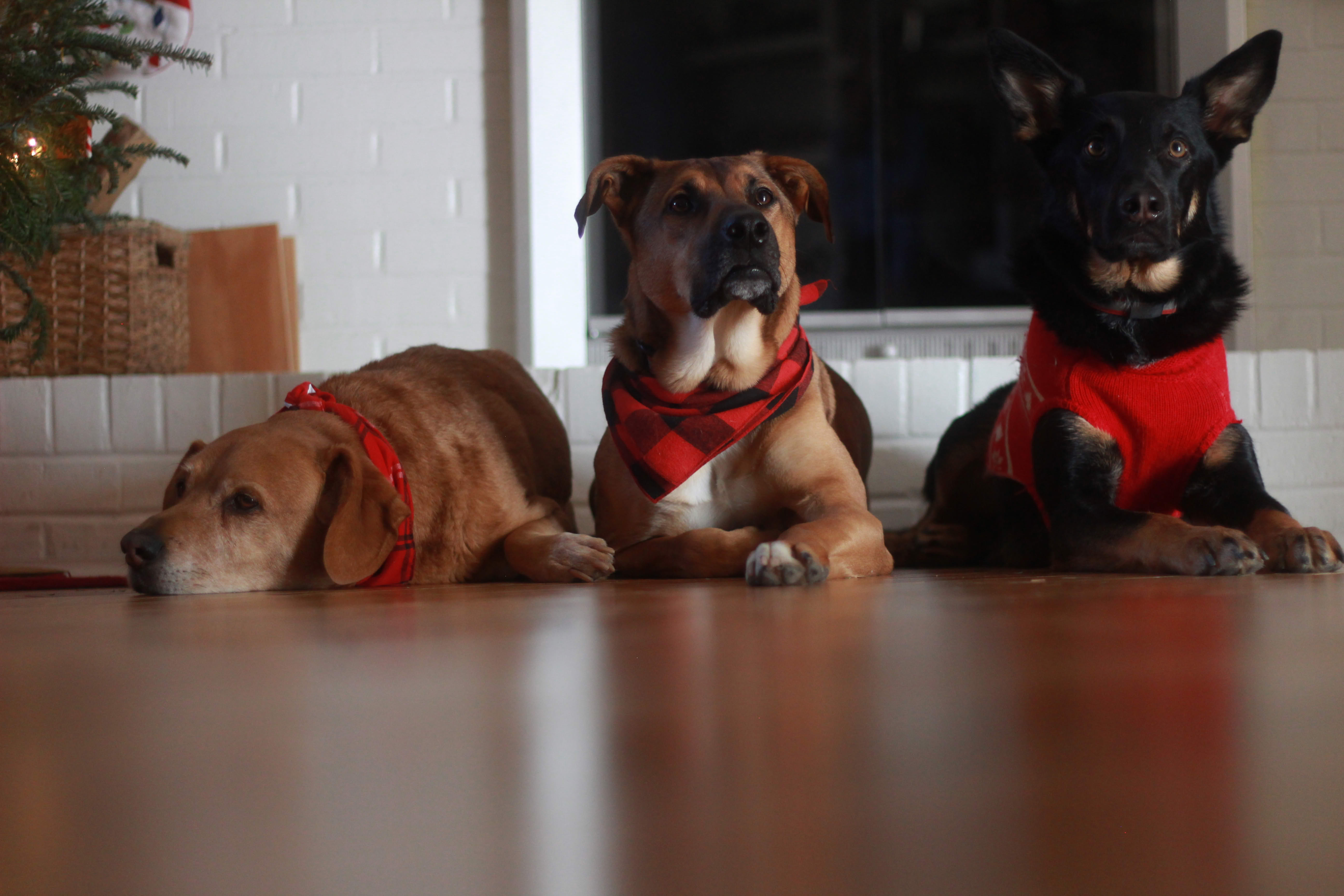 Picture of a tiny stream